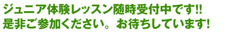 体験レッスン随時受付中